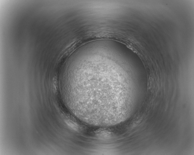 X0000067470648200604101200