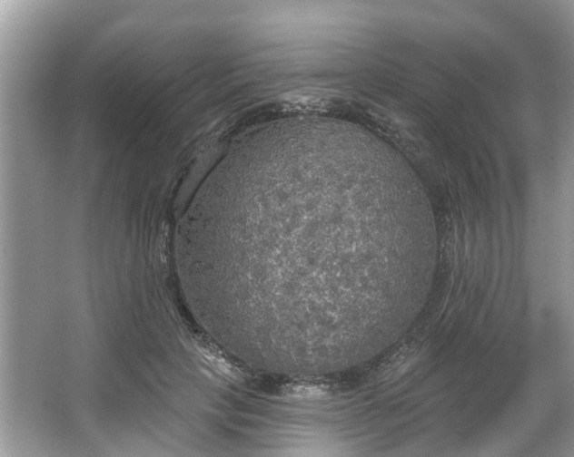 X0000067470649200604101200