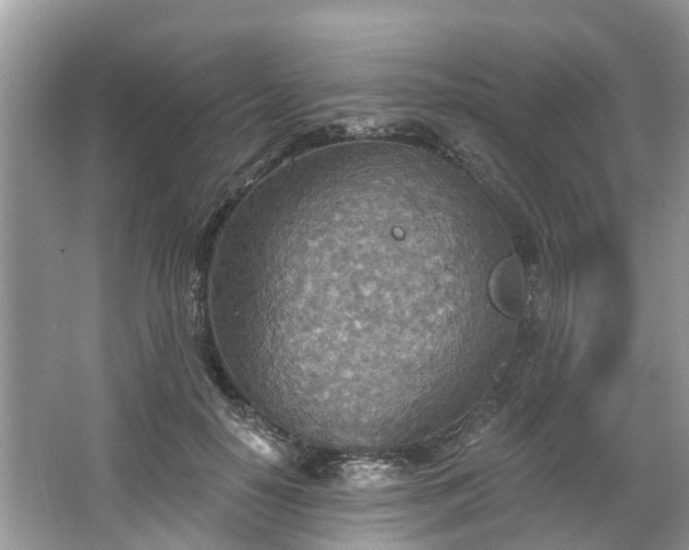 X0000067470650200604101200