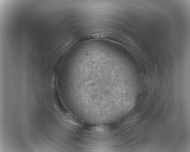 X0000067470652200604101200