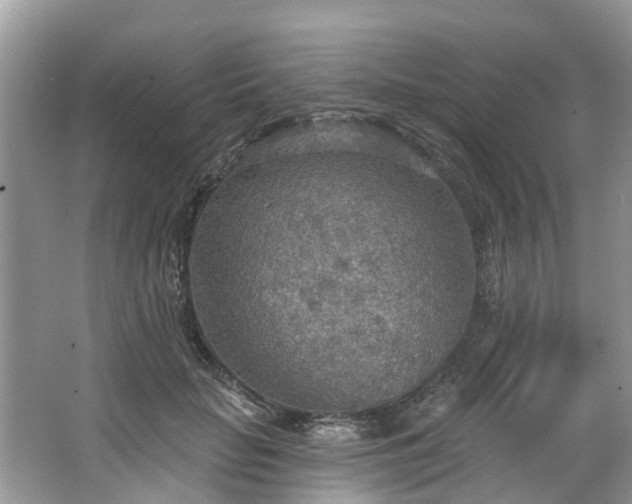 X0000067470653200604101200