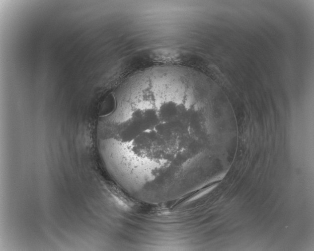 X0000067470658200604101200