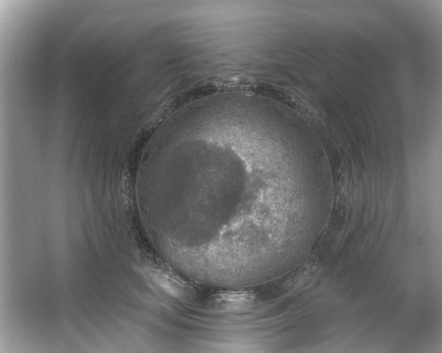 X0000067470659200604101200