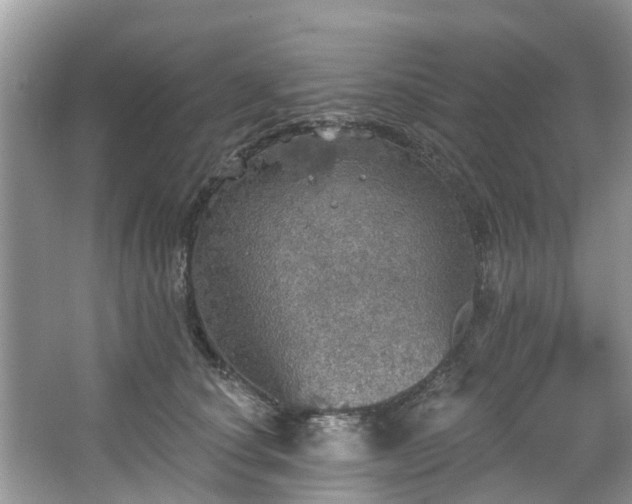 X0000067470660200604101200