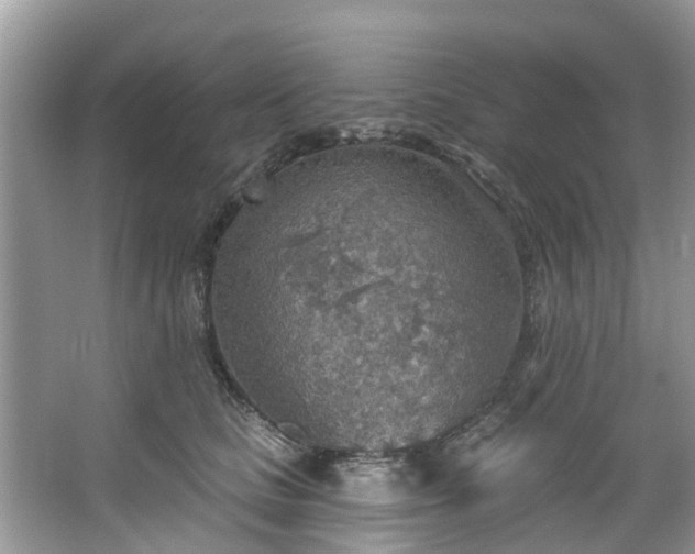 X0000067470661200604101200