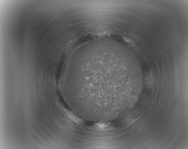 X0000067470662200604101200