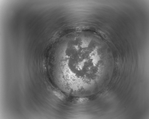 X0000067470663200604101200