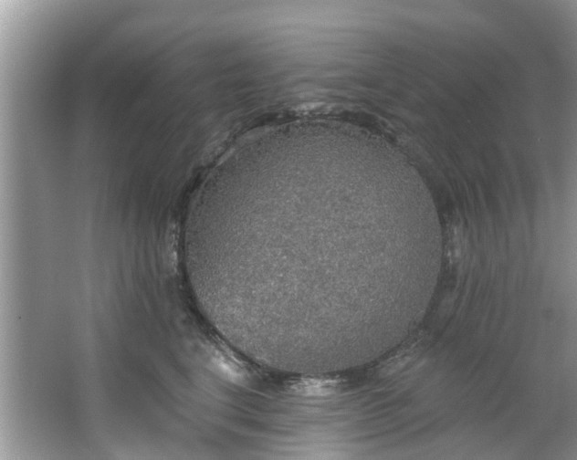 X0000067470664200604101200