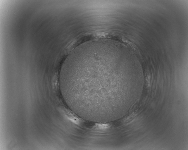 X0000067470665200604101200