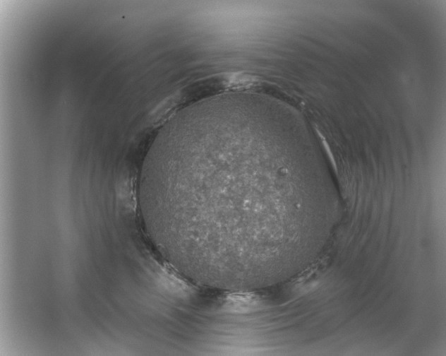 X0000067470666200604101200