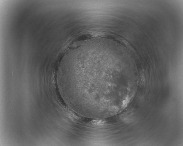 X0000067470667200604101200