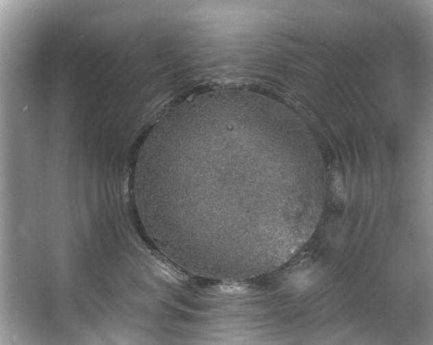 X0000067470668200604101200