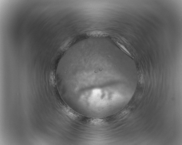 X0000067470669200604101200