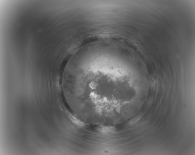 X0000067470670200604101200