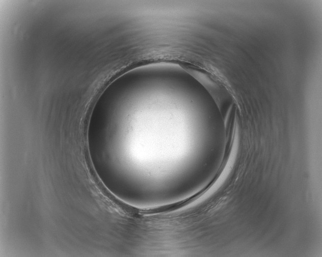 X0000067470673200604101159