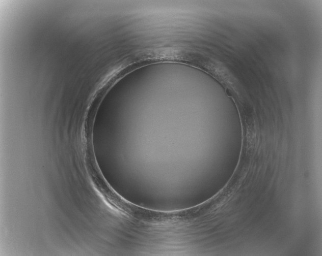 X0000067470674200604101159