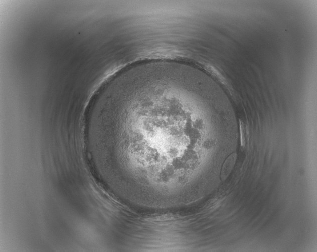 X0000067470675200604101159