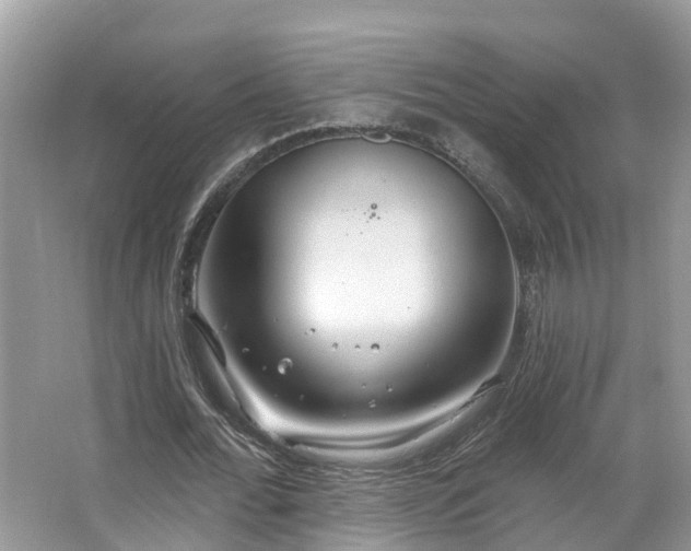 X0000067470676200604101159