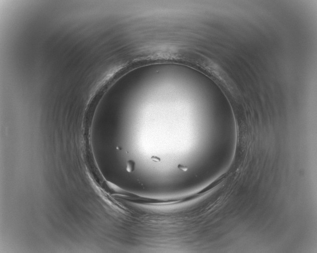 X0000067470677200604101159