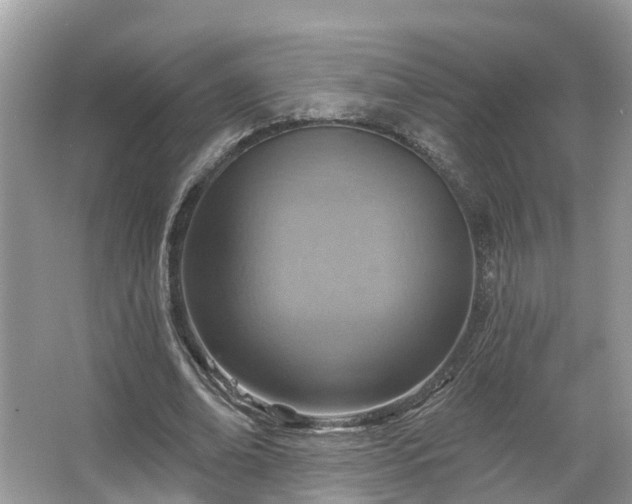 X0000067470678200604101159