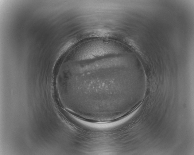 X0000067470679200604101159