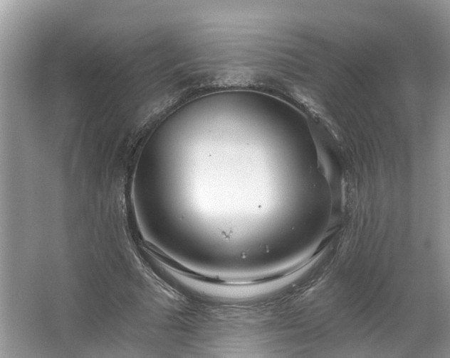 X0000067470681200604101159