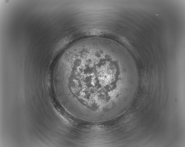 X0000067470683200604101159