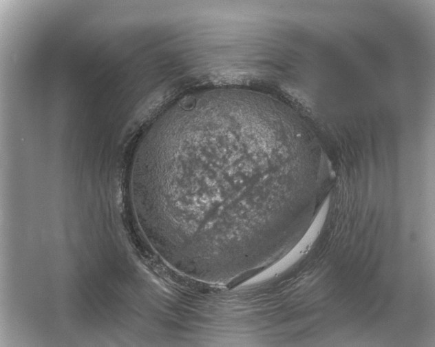 X0000067470687200604101159