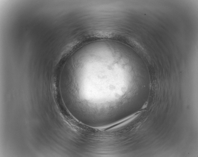 X0000067470688200604101159