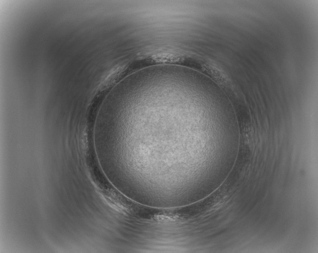 X0000067470690200604101159