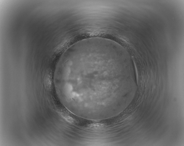 X0000067470691200604101159