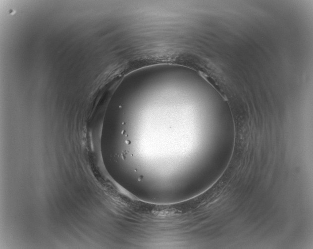 X0000067470693200604101159