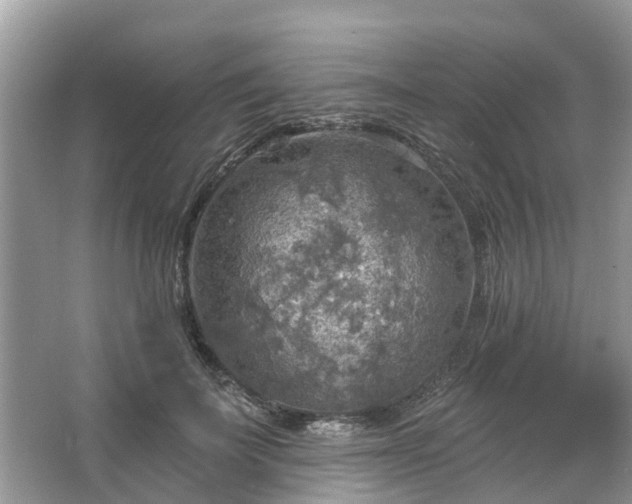 X0000067470699200604101159