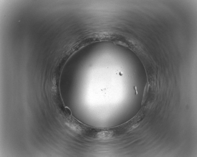 X0000067470700200604101159