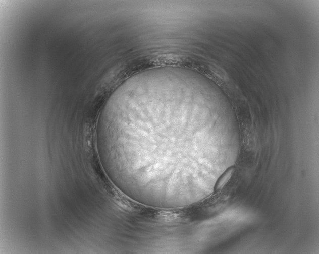 X0000067470701200604101159