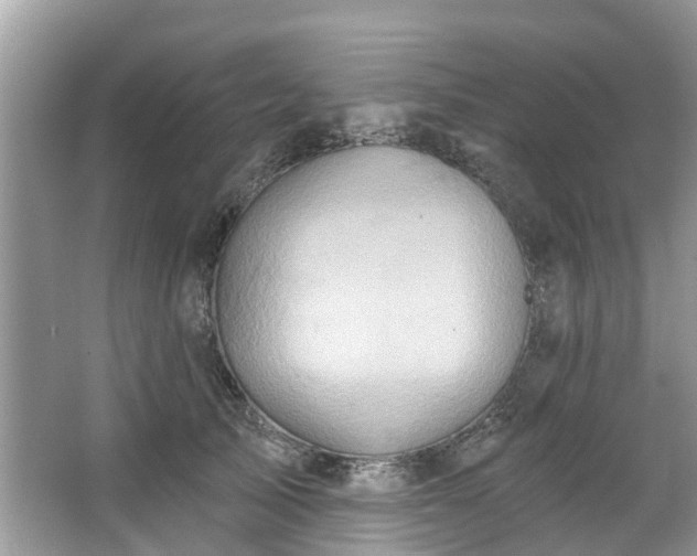 X0000067470705200604101159