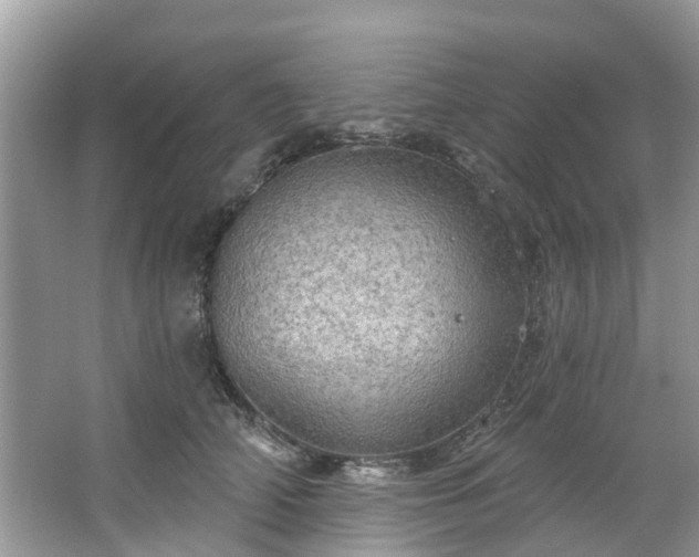 X0000067470706200604101159