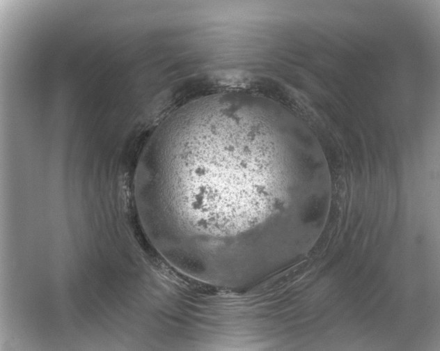 X0000067470707200604101159