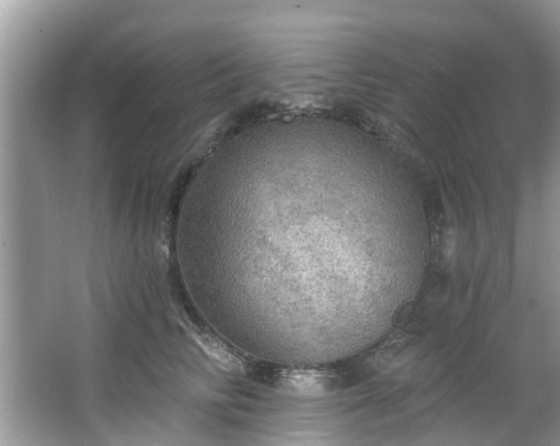 X0000067470710200604101159