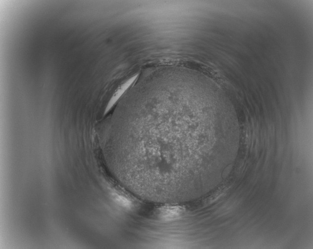 X0000067470711200604101159