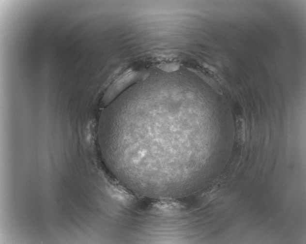 X0000067470712200604101159