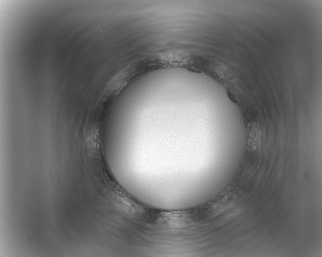 X0000067470713200604101159