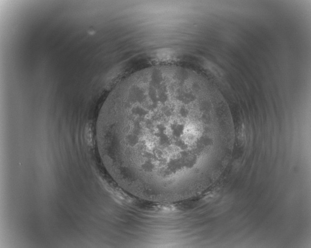 X0000067470715200604101159