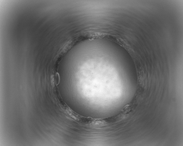 X0000067470716200604101159