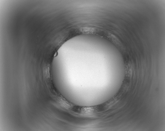 X0000067470717200604101159