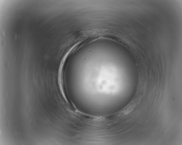 X0000067470720200604101159