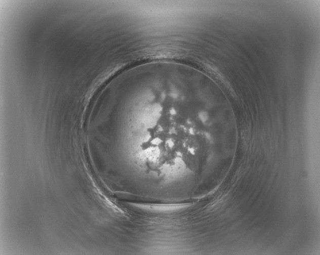 X0000067470721200604101158