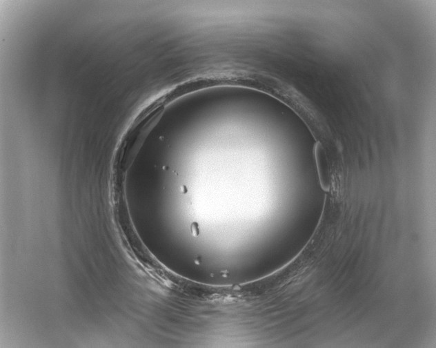 X0000067470724200604101158