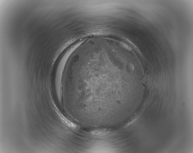 X0000067470725200604101158