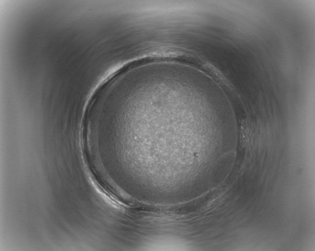 X0000067470726200604101158